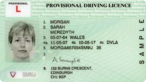 provisional licence